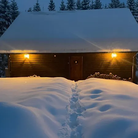 Holiday home Hajenka Libin *