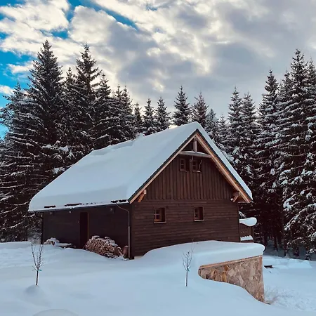 Holiday home Hajenka Libin *